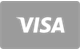 Visa card plata cazino